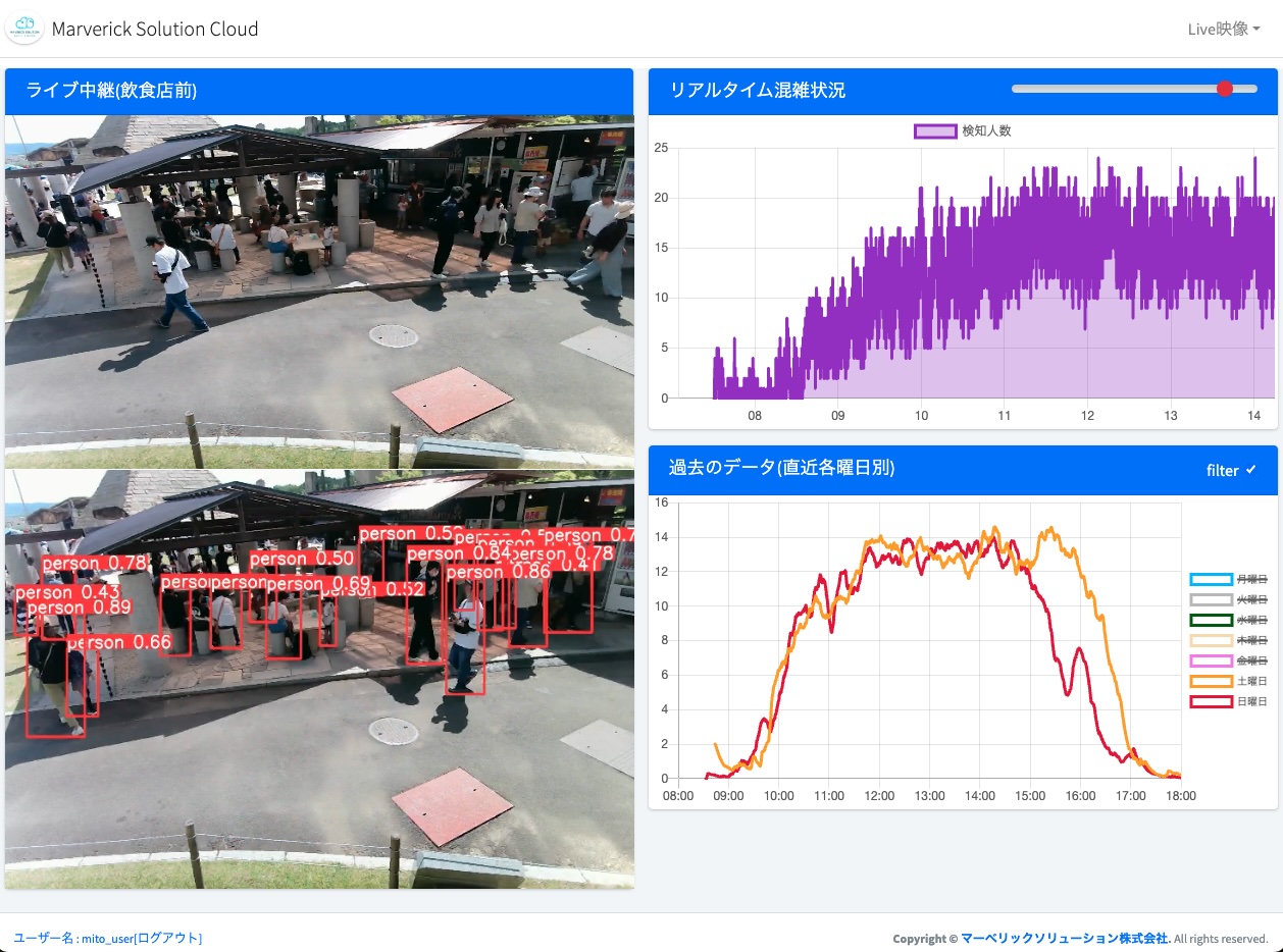 AI搭載型定点監視システム